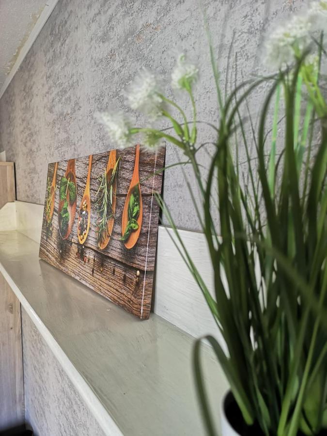 Cozy Flat, Central, Easy Parking, Clam Apartment Bayreuth Exterior foto